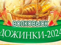 Районные Дожинки-2024 в Волковыске